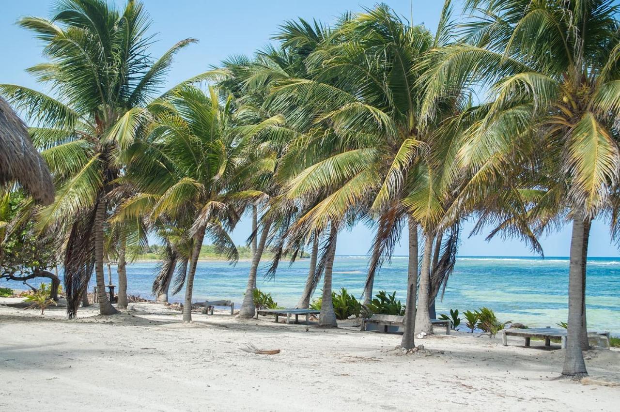 Cabanas Ecoturisticas Costa Maya Mahahual Buitenkant foto